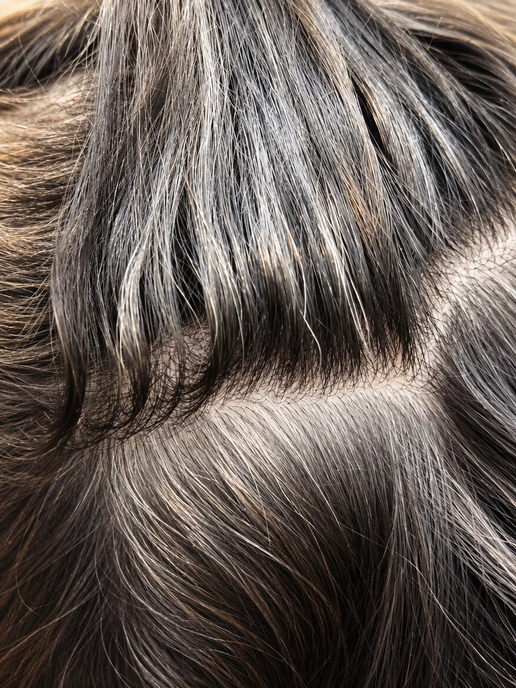 Transición a las canas: canas naturales integradas como reflejos de luz en la raíz